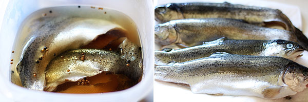 Brine Recipe for Fish