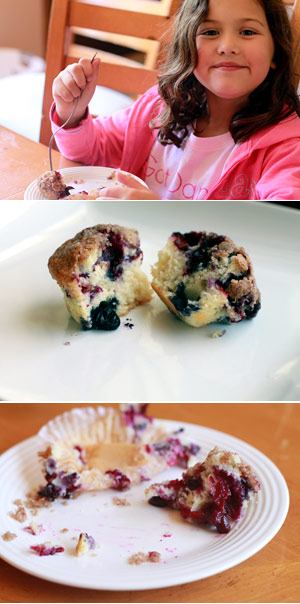 Blueberry Muffin Recipe