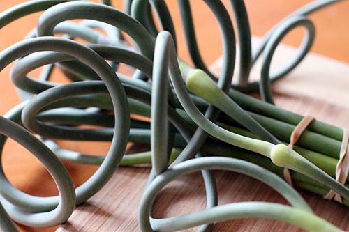 Garlic Scapes