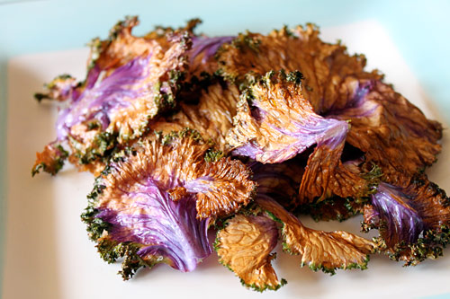 Homemade Kale Chips Recipe