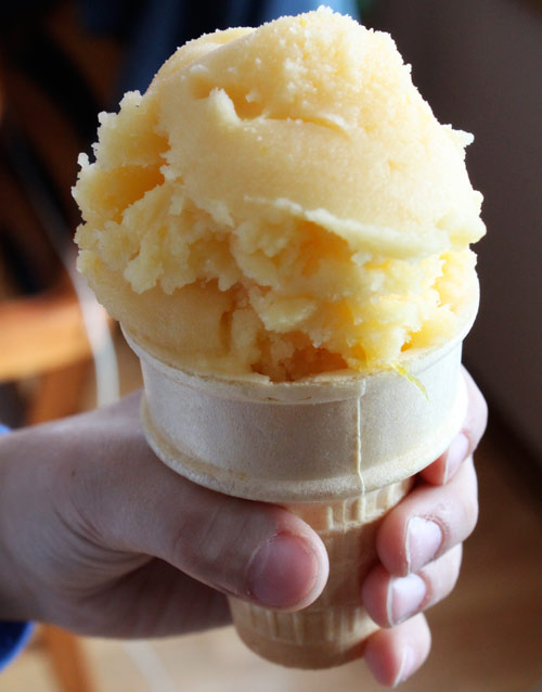 Mango Sorbet Recipe