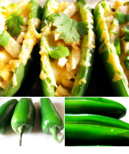 Stuffed Jalapenos Recipe