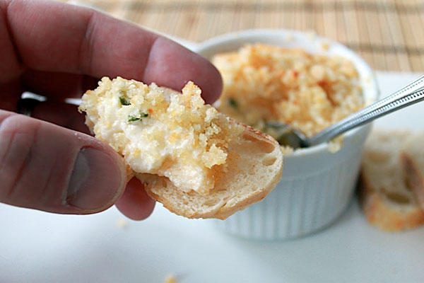 Chicken Wing Dip Recipe