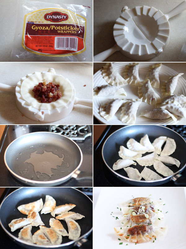 Ingredients for making a pot sticker recipe