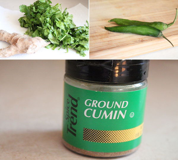 Cilantro Chutney Ingredients