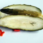 Garlic Dill Spiced Pickles