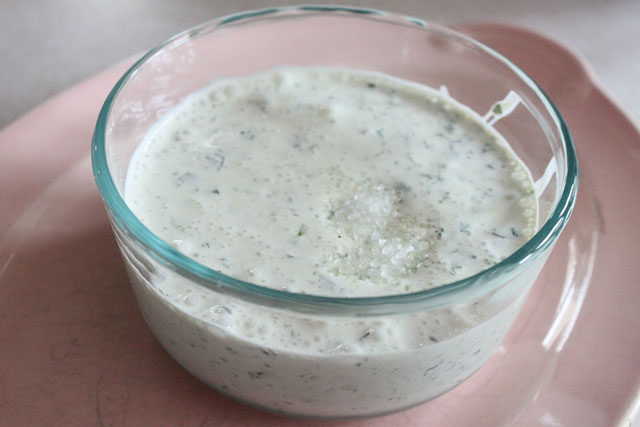 Garlic Cilantro Lime Dip Recipe