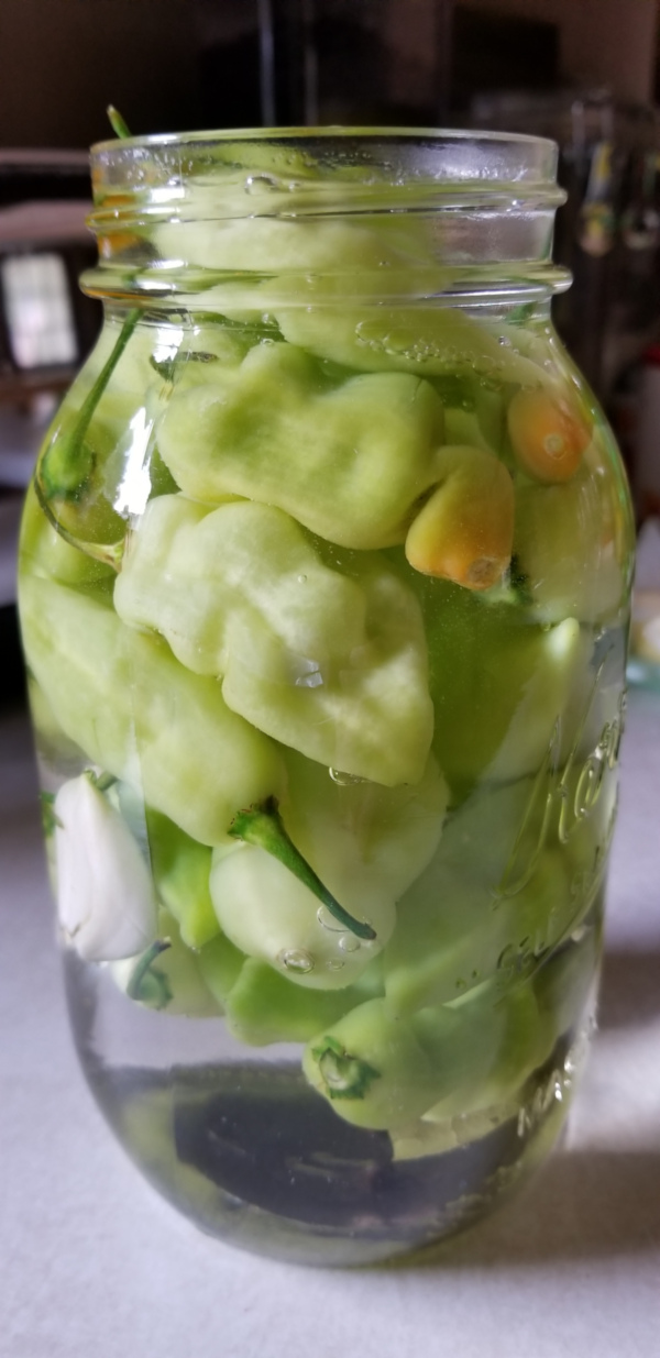 Pickled Pepperoncini Recipe